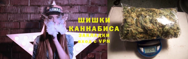 метадон Каменка