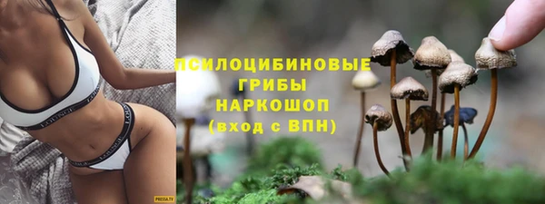 метадон Каменка