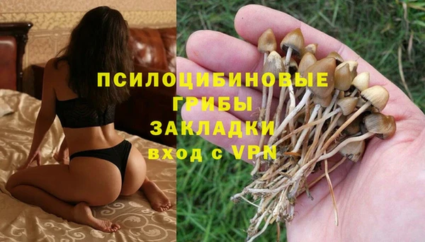 трава Каменногорск