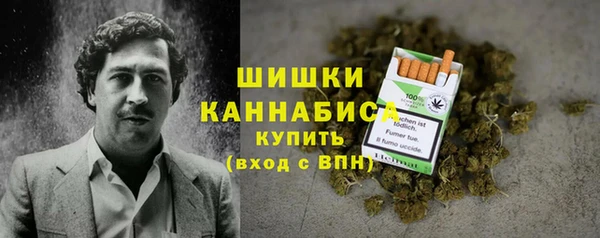 метадон Каменка