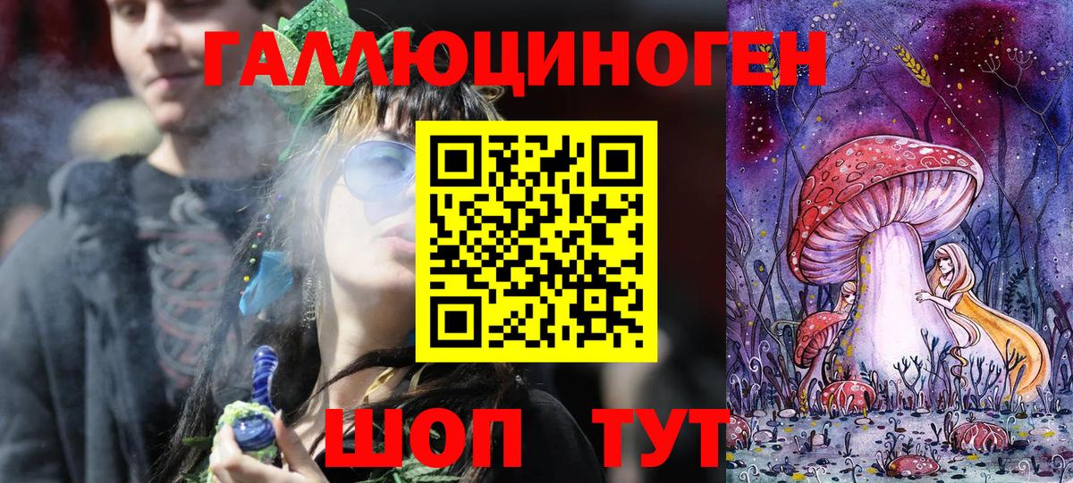 Соль-Илецк  Псилоцибиновые грибы прущие грибы  Вход с VPN 